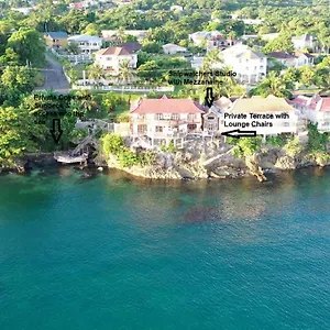 https://afiba-oceanfront-studio-with-mezzanine.greaterantilleshotels.net