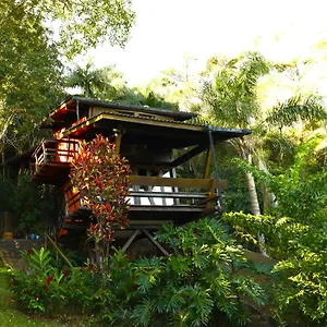 https://aldeia-niura-opy.santa-catarina-brasil.com